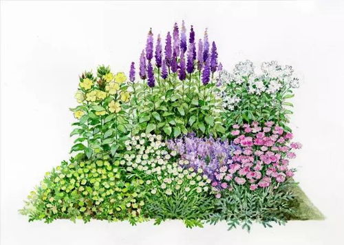 101張超高清精品手繪花境，驚艷你的家居視覺體驗